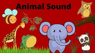 Animal sound | Animal sound for kids | kids learning | preschool videos | cow says | elephant says