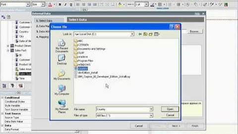 IBM Cognos 10   Manage External Data