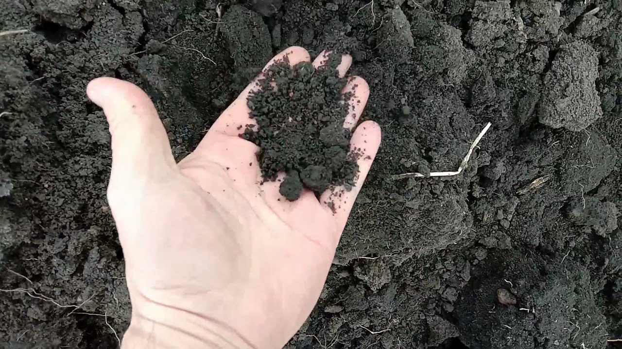 Купили Дом в Саратовской области