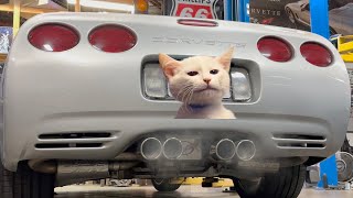 Installing Headers and a Complete Exhaust on this C5 Corvette!