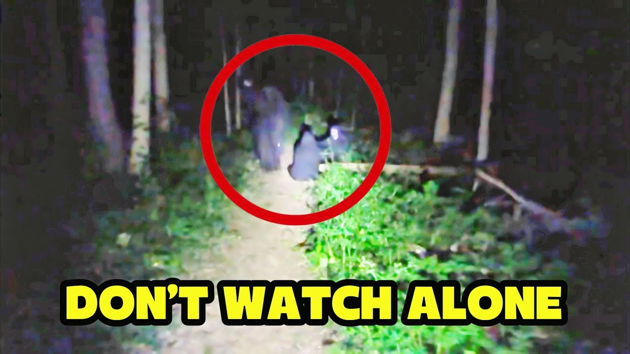 6 Most Disturbing Camping Encounters Ever Caught on Camera