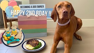 Willa's 2nd Birthday Celebration: Homemade Cookies, Steak Dinner, and Presents! 🎉🐾