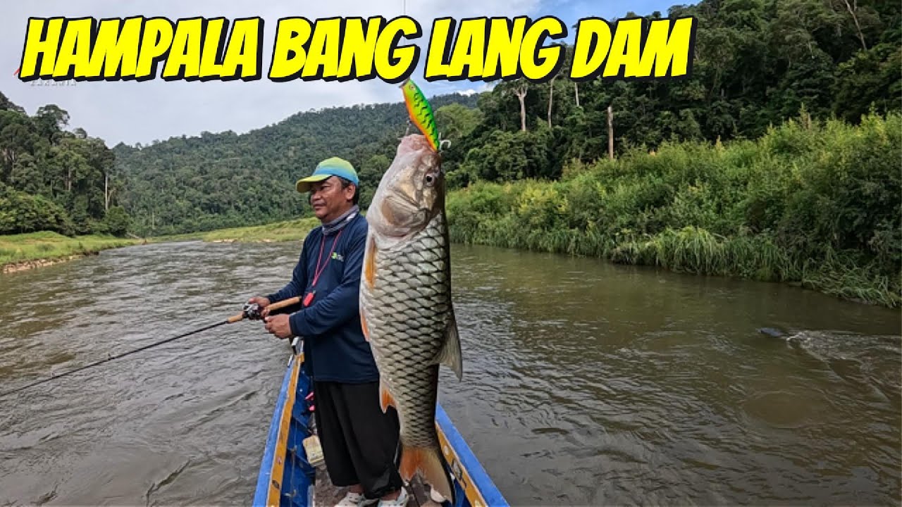 Tempat ini bagaikan SYURGA UTK PEMBURU SERIGALA SUNGAI | TOPWATER EXPLOSION | VLOG #406