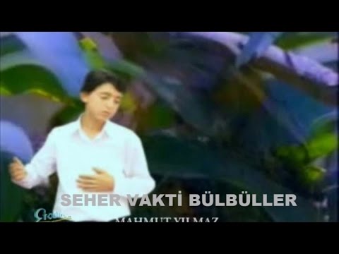 MAHMUT YILMAZ - SEHER VAKTİ BÜLBÜLLER