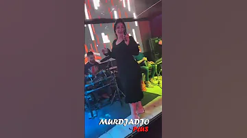 Cheba Warda Live 2025 Rai اكسبلور 