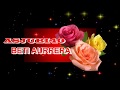 Felicitación navideña ASJUBI40.