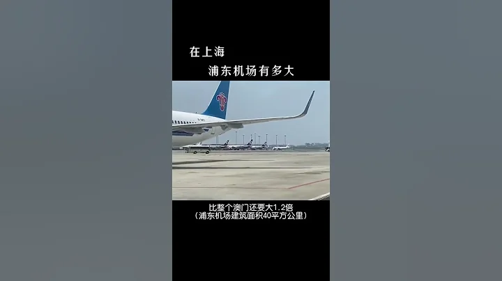 别的机场让你提前两小时到达你可以不听，但上海浦东机场，你还是听一下吧 #浦东机场#大美中国 #机场#大美中国 #旅行推荐官 #旅行大玩家 #景点推荐 - 天天要闻