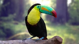 [Photoshop] Bird Low Poly Tutorial with Actions