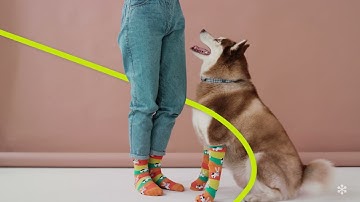 GoToConnect & Microsoft Teams = The Perfect Pairing | 15s