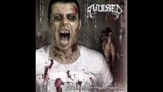 Watch Avulsed Morbid Chef video