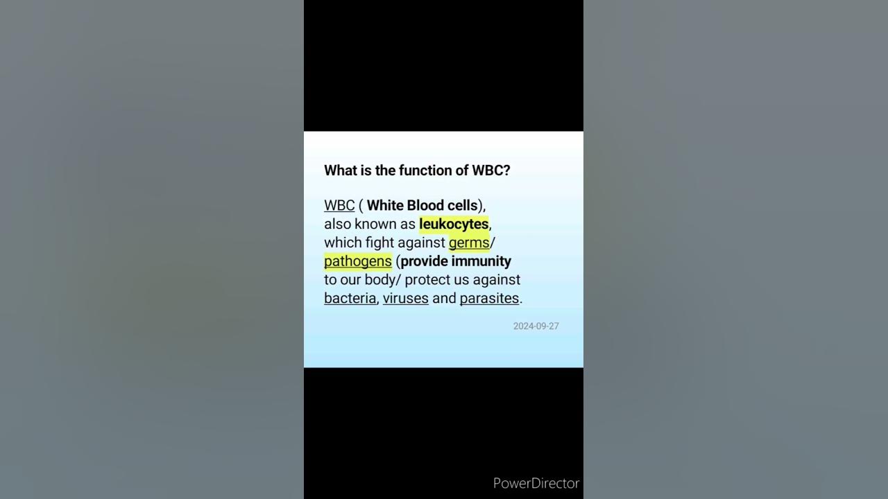 Class7. Function of WBC Science. YouTube