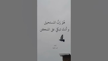 لا إله إلا الله محمد رسول الله #القرآن_الكريم #الرحمن الرحيم #تلاوة_قرآن كريم