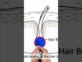 The Science of Hair – Why Do Humans Have Hair and How Hair Grows. #education #science #healthy