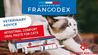 VETERINARY ADVICE  How to use a paste syringe for my cat? | Francodex