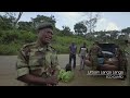 CONGO: Protecting The Home of The Gorillas