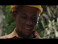 CONGO: Protecting The Home of The Gorillas