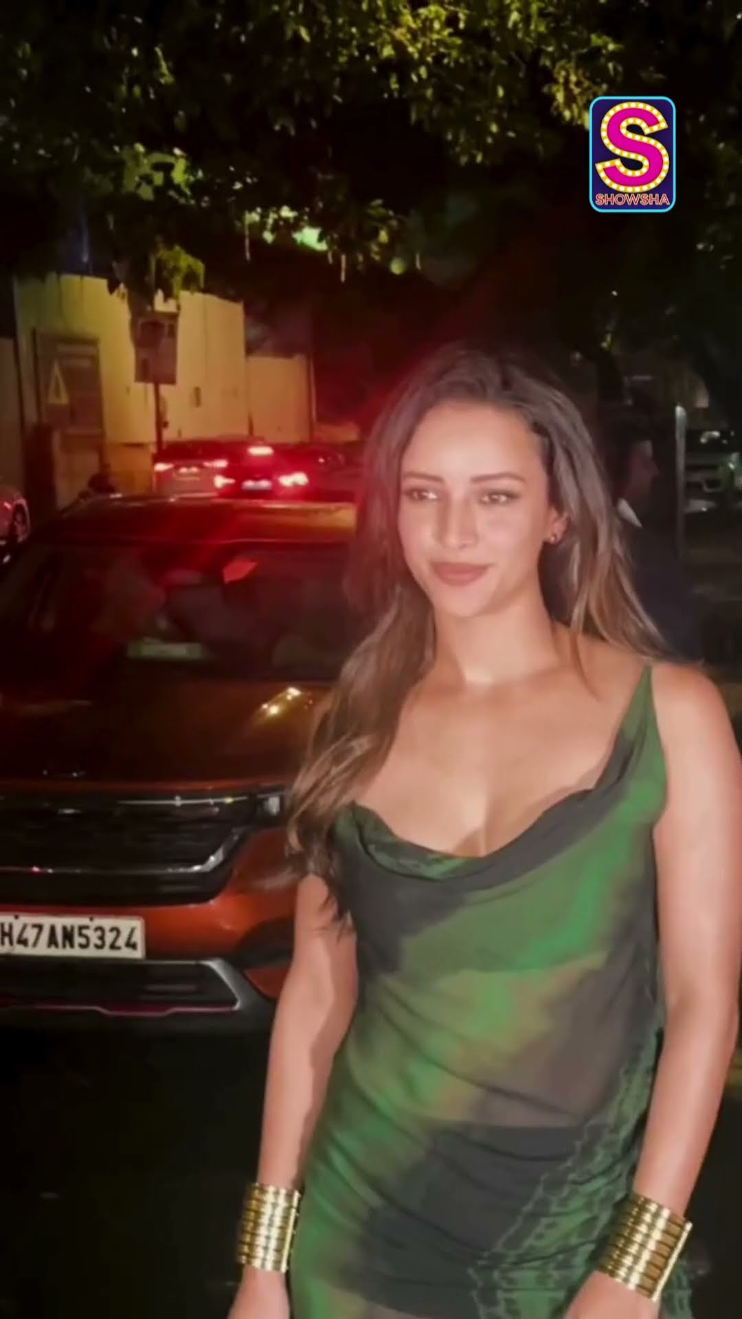 Sizzling Hot! Tripti Dimri Serves The Oomph Factor As She Poses Looking Ravishing | N18S