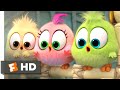 The Angry Birds Movie 2 (2019) - Wittle Sisters Scene (10/10) | Movieclips