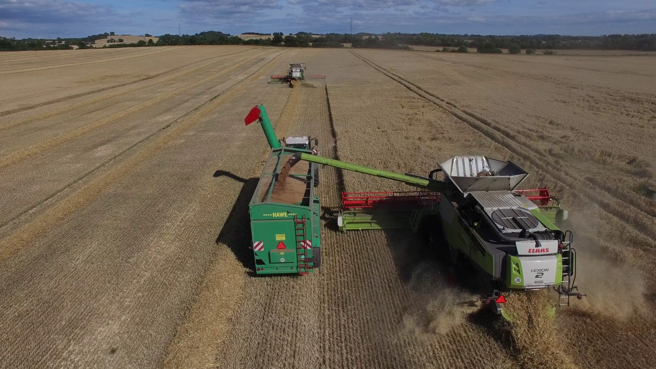 Rosenfeldt Gods høst hvede - 2016