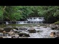 Relaxing Nature Sounds of a Soothing Waterfall with Forest Bird Song-Calm Relaxation & Sleeping