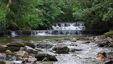 Nature Sounds Forest Waterfall-Calming Water Sound for Sleeping-Relaxing Birds Chirping Meditation