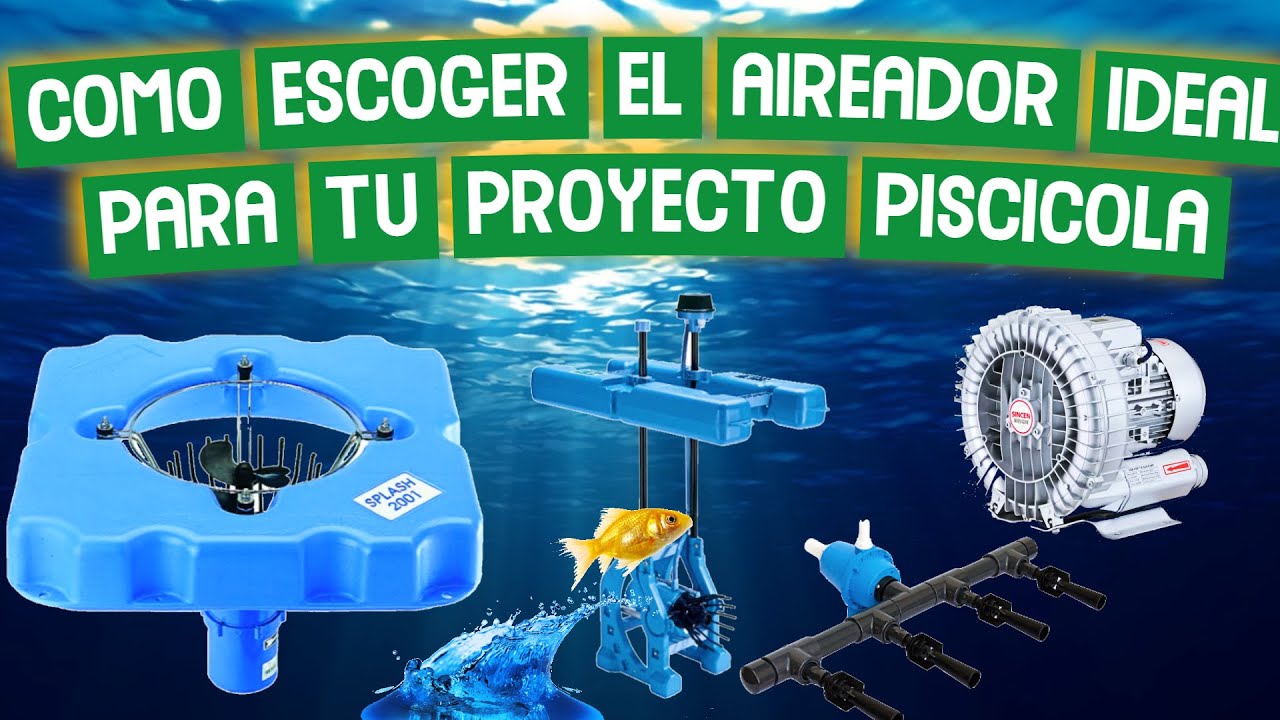 Bomba de oxígeno de agua aireadora de oxigenador con energía solar para  acuario de tanque de peces de estanque