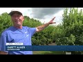 BIRDS AND THE BERRIES: Pryor-area blueberry farm opens after bird attack