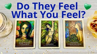 🔥ARE THEY INTO YOU TOO? DO THEY FEEL THE SAME? 💋 PICK A CARD 😍 LOVE TAROT READING 💞