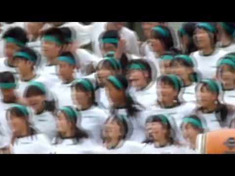 瞳ちゃんの運動会 - 1