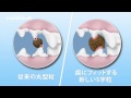 【ユーカヌバ】ペットフードでデンタルケアが出来る秘密