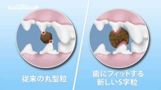 【ユーカヌバ】ペットフードでデンタルケアが出来る秘密