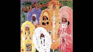 The Wild Tchoupitoulas - Brother John (1976)