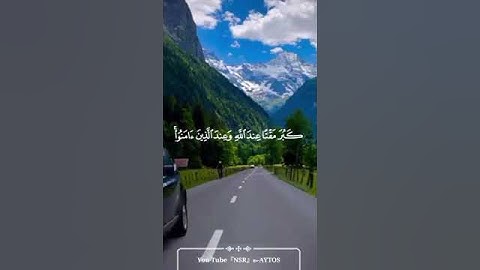 قرآن كريم بصوت القارئ: مشاري العفاسي|| أجمل حالات واتس اب دينيه || تلاوة خاشعة 🌿