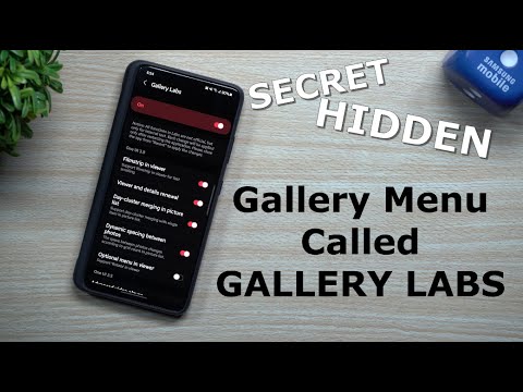 The Secret Is Out - Gallery Labs (The Hidden Menu)