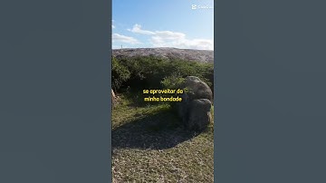 faça essa oração e Deus vai ti abençoar #palavraquesalva #deusnuncafalha #fe #reflexão #videoshort