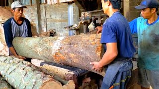 Hampir Punah Dimakan Zaman..Kayu Kenanga Disawmil Jadi Bahan Tongkat Pramuka