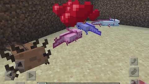 5 Axolotl Variants MOD in Minecraft PE