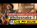 アコースティックでホワイトスネイク演ってみた!!️「歌うな、感じろ!!Live My House編」