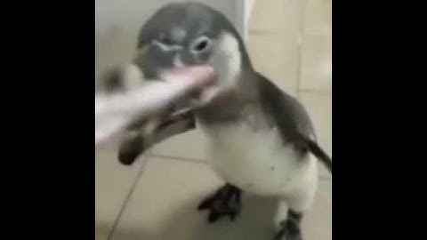 Gulp gulp gulp
