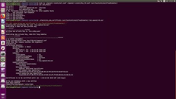 5.  Installing old openair-cn (Create a HSS certificate)