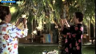 O Palmenbaum | Trailer