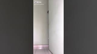 Cuando Mis Vecinos Discuten 🤣🤣 TikTok 🇻🇪