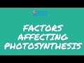 PHOTOSYNTHESIS - FACTORS AFFECTING PHOTOSYNTHESIS for NEET, AIIMS, AIPMT, JIPMER, PREMED