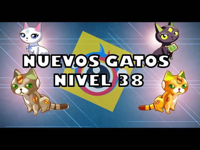 COMO JOGAR O JOGO DO GATINHO NO CLIPCLAPS? VALE A PENA? ELE PAGA MESMO?  TRUQUES E DICAS Coin Cat 