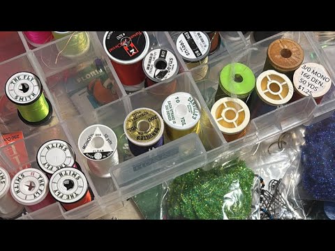 Florida Woman - Jaime Lyn is live!