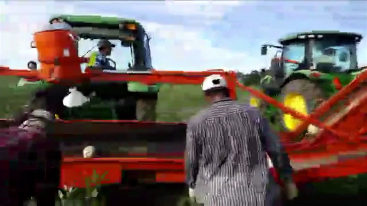 Rocky Ford Growers Association YouTube