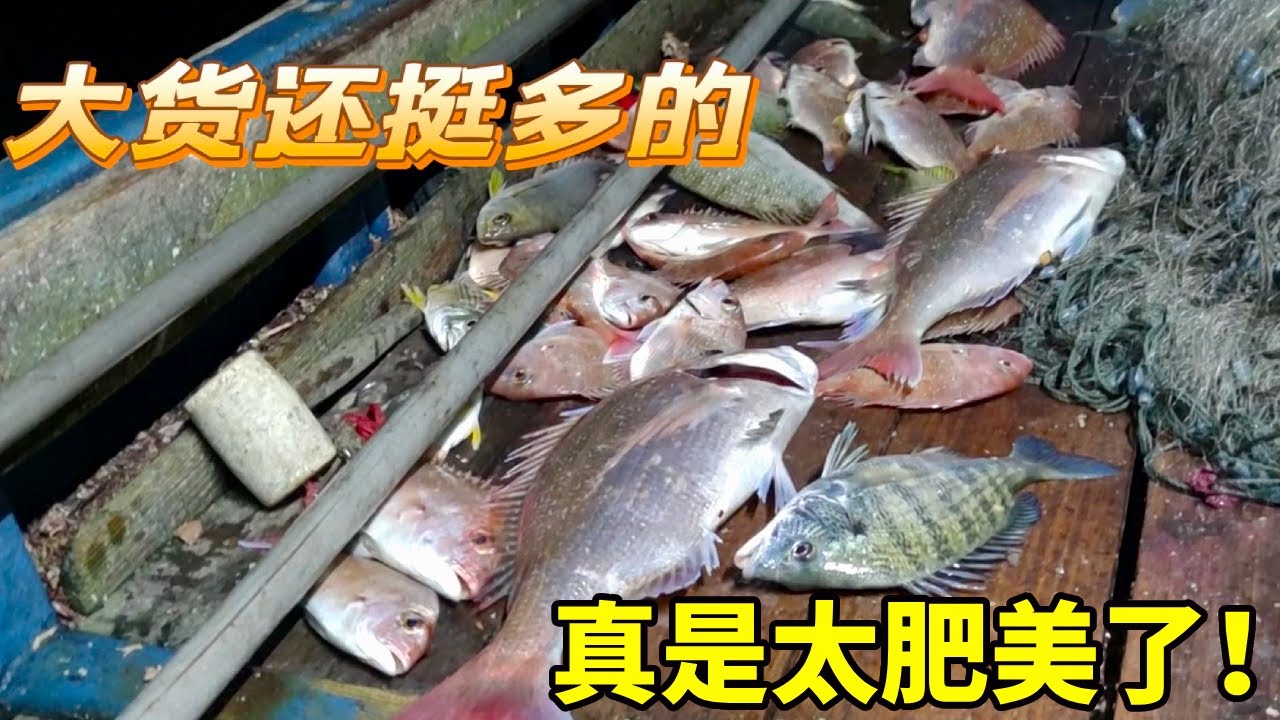 天色大好彪哥直奔外海捕鱼，全都是大货，太肥美了！