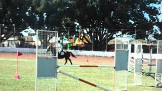 DSCF4260[1].avi
