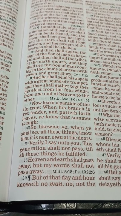Bible Reading Matthew Chapter 24 Verse 32 37 YouTube bible-reading-matthew-chapter-24-verse-32-37-youtube