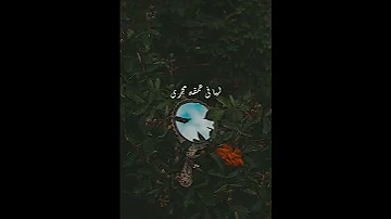 أينسى القلب إنسانا اكسبلور 